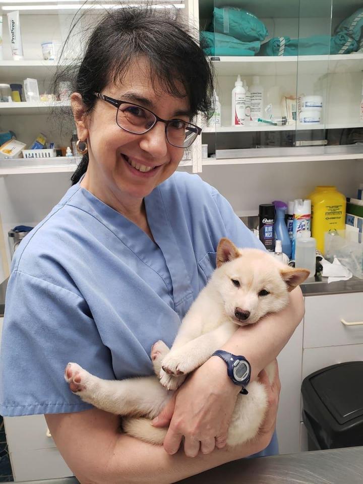 Votre animal bénéficiera d’un traitement vétérinaire de qualité.