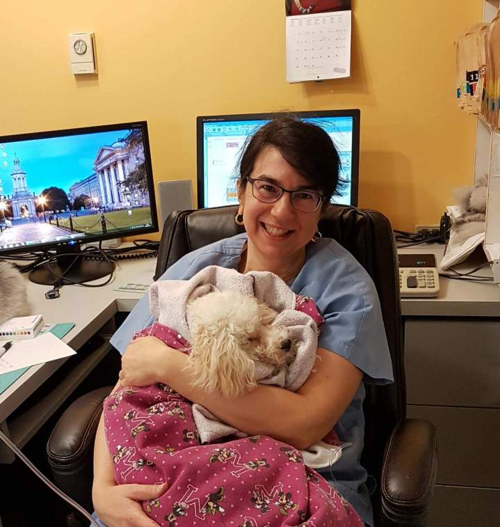 Personalized veterinary care Laval