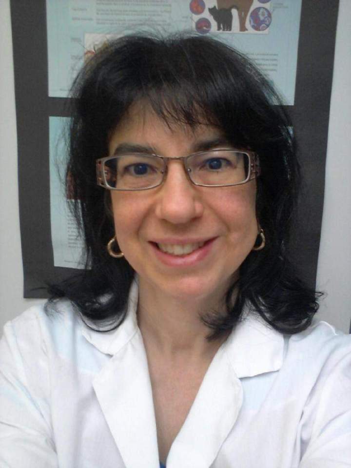 Passionate veterinarian Laval
