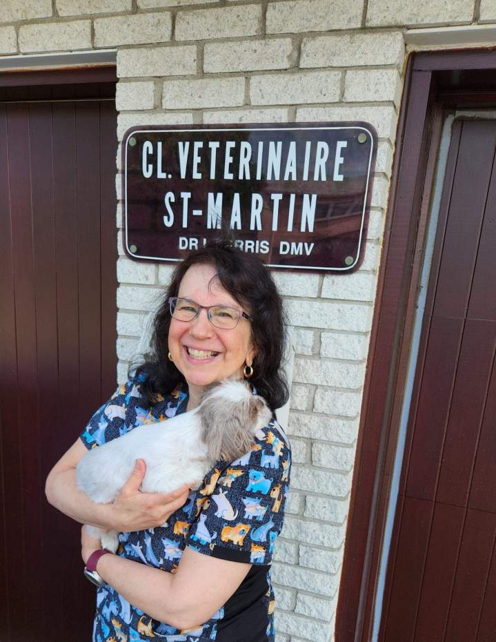 Passionate veterinarian Laval