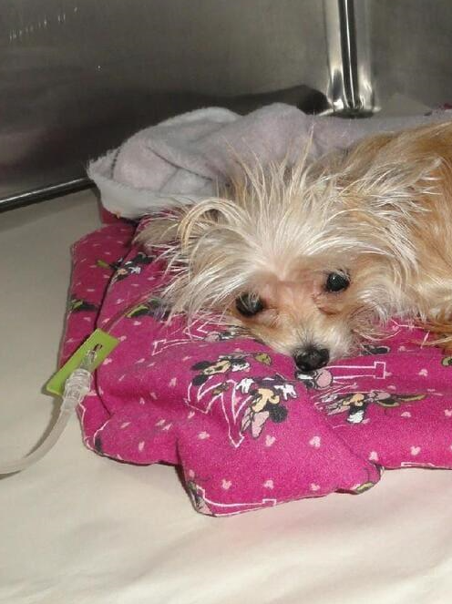 Suffisamment équipée pour prodiguer des soins spécialisés.