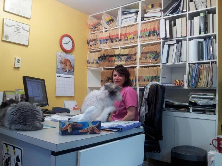 Médecine vétérinaire Laval