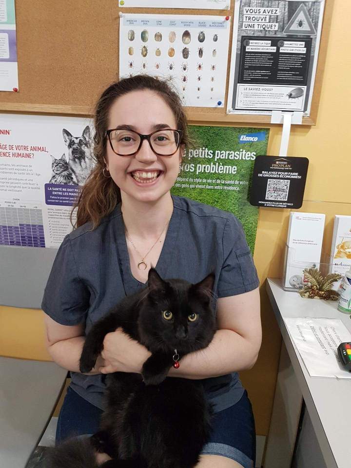 Passionate veterinary assistant on duty Laval