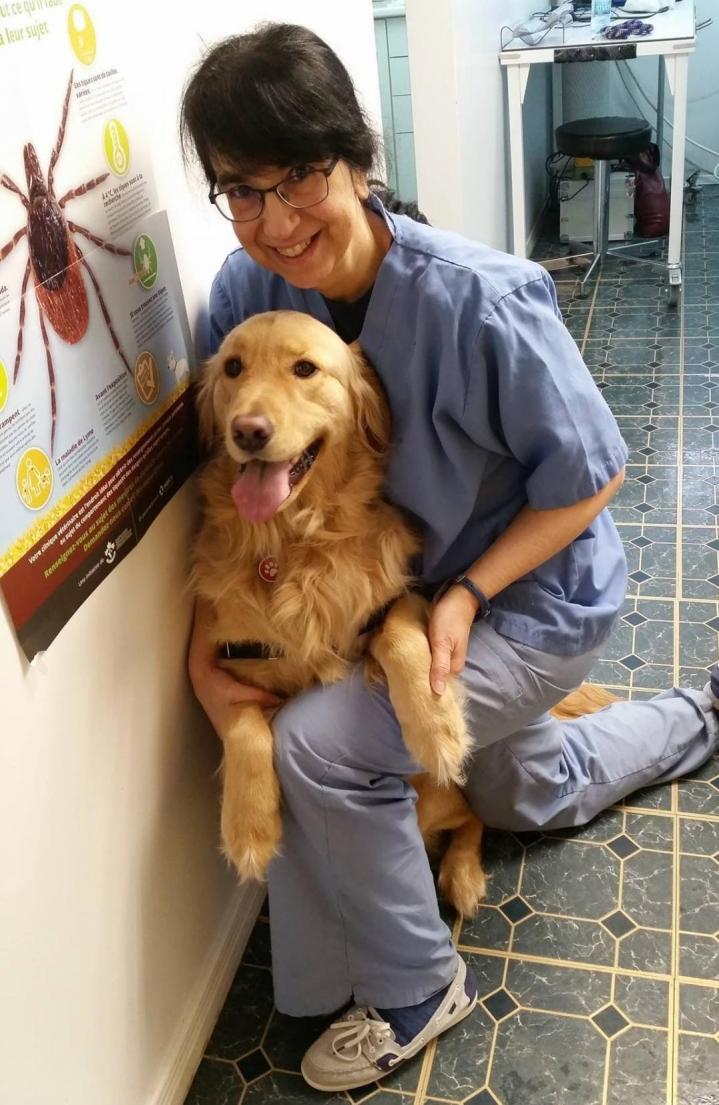 Médecine vétérinaire Laval