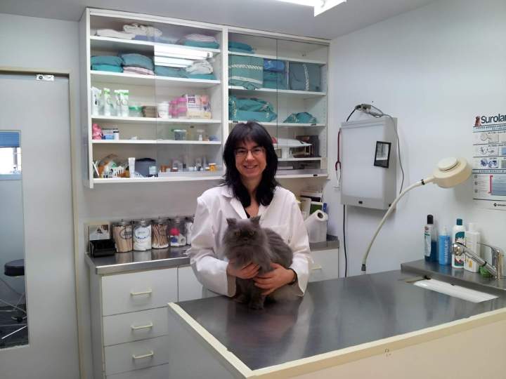 Experienced veterinarian Laval