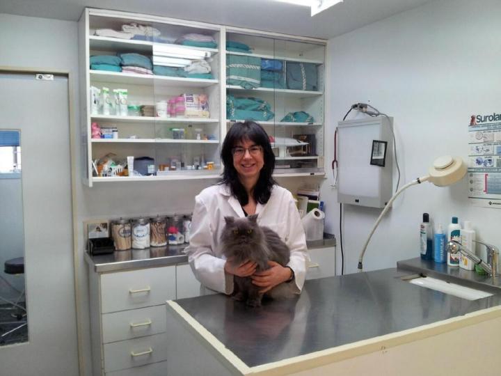 Soins vétérinaires Laval